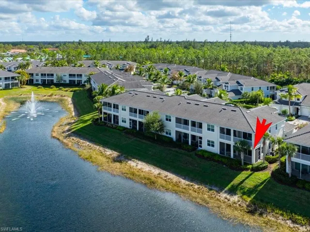Aerial of Back
