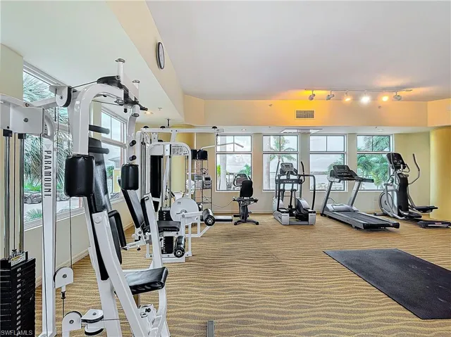 Gym with carpet floors, a wealth of natural light, and rail lighting