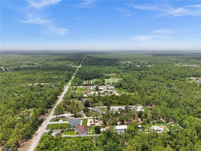 Bird's eye view of a forest