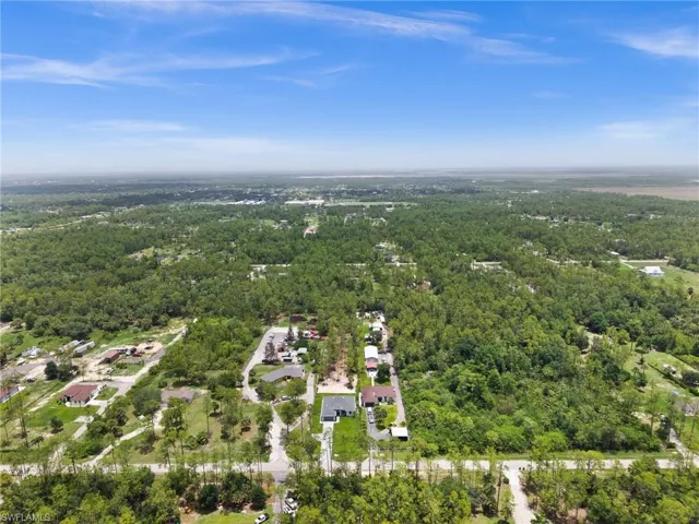 Aerial view of residential area with a forest