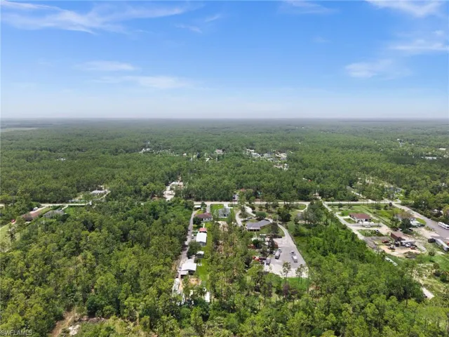 Aerial view of a forest