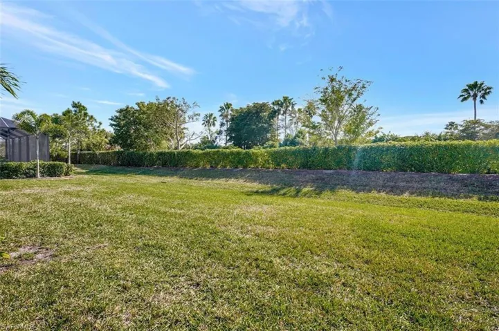 This is a view of the back yard.