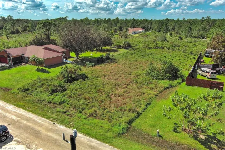 Bird's eye view of a forest