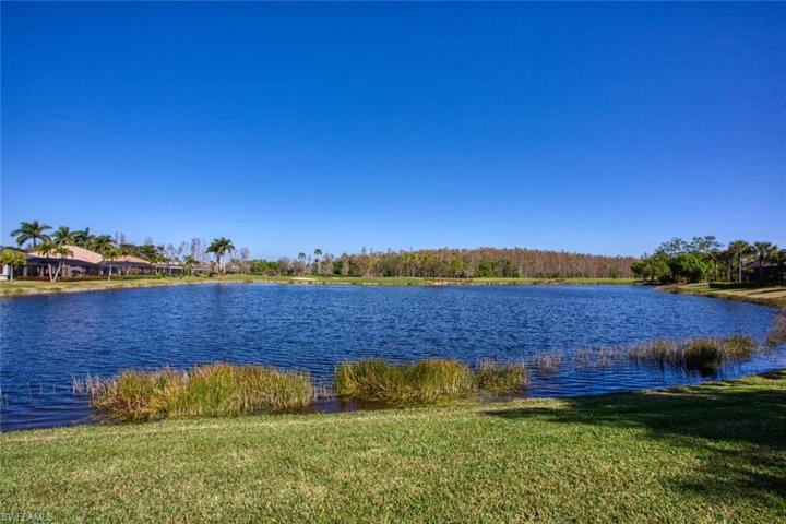 Lake view