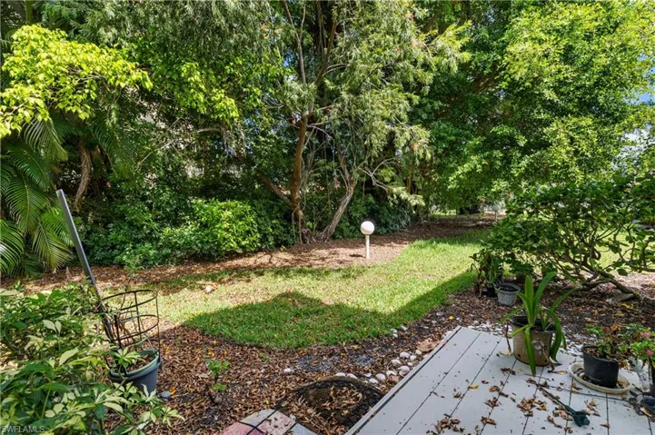 View of yard featuring a patio