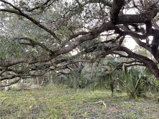 W State Rd 80  , Labelle, FL 33935