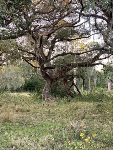 W State Rd 80  , Labelle, FL 33935