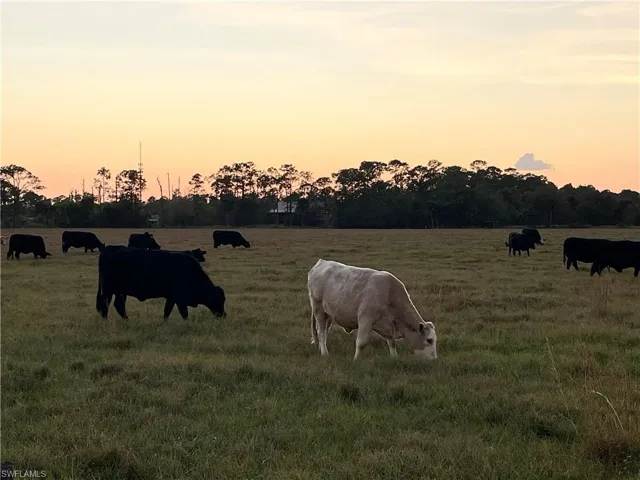 W State Rd 80  , Labelle, FL 33935