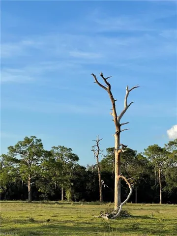 W State Rd 80  , Labelle, FL 33935