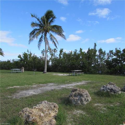 Tropical Point County Park