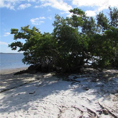 Tropical Point County Park