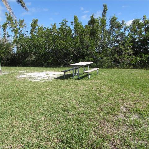 Tropical Point County Park