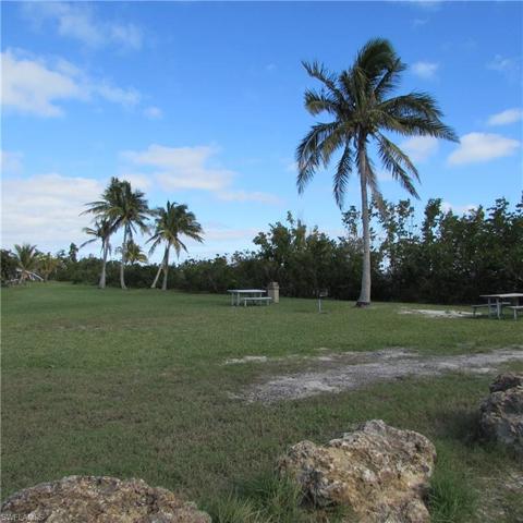 Tropical Point County Park