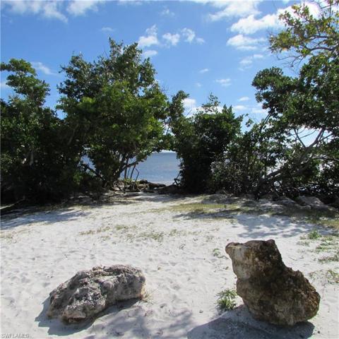 Tropical Point County Park