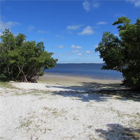 Tropical Point County Park