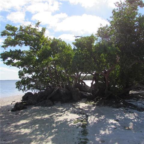 Tropical Point County Park