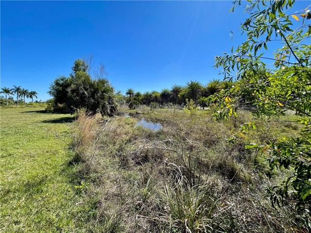 shared pond at rear of lot