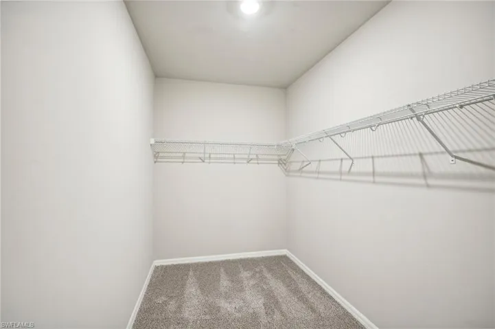 Spacious closet with carpet flooring