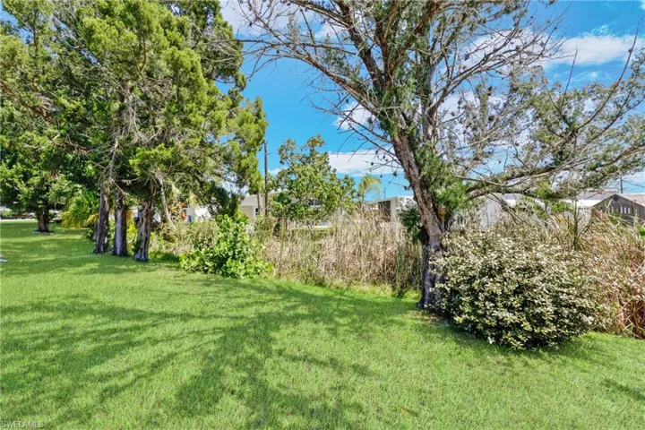 View of grassy yard