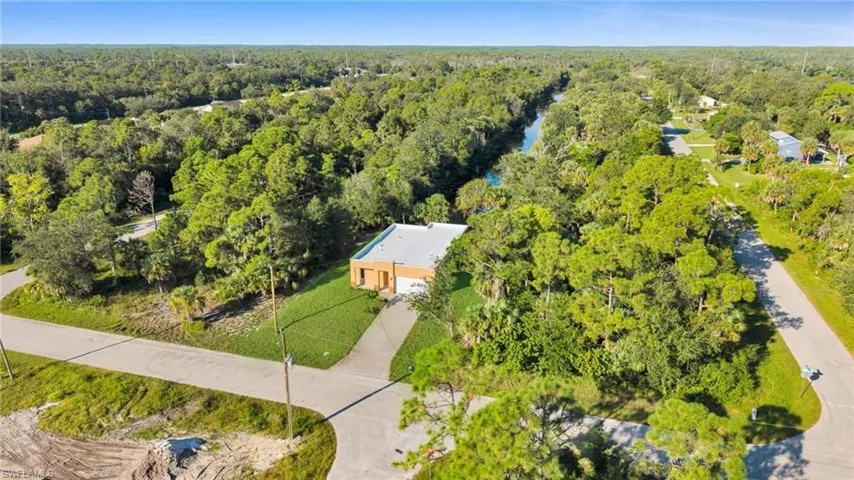 Bird's eye view of a forest