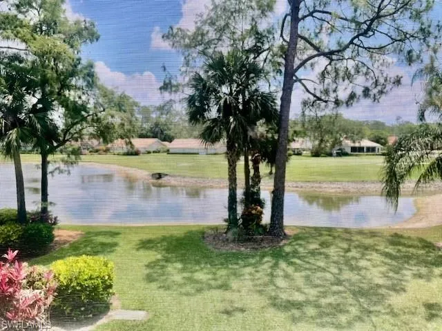 Water view