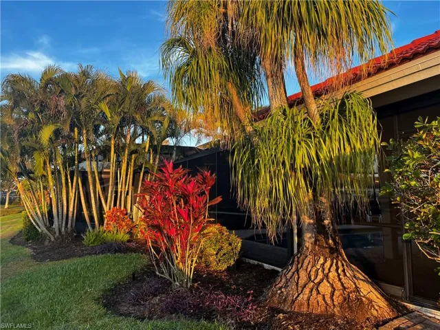View of backyard