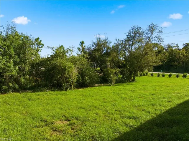 View of grassy yard