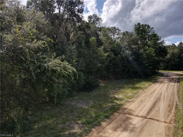 106 Gunner Ave Ave, Interlachen, Florida 32148