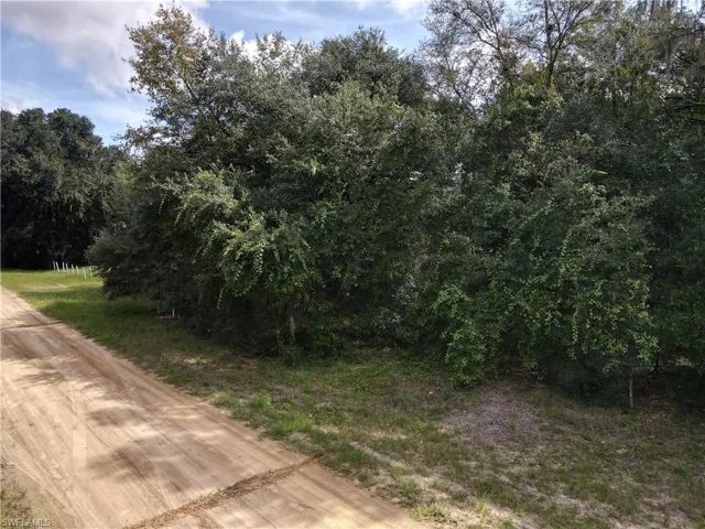 106 Gunner Ave Ave, Interlachen, Florida 32148