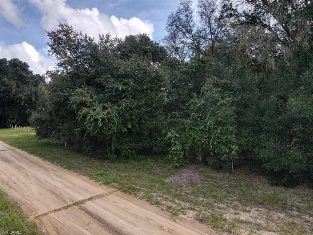 106 Gunner Ave Ave, Interlachen, Florida 32148
