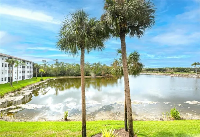 Water view
