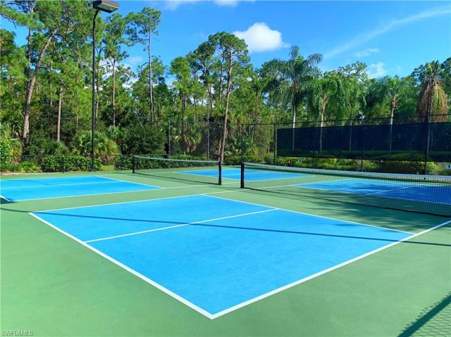 Pickle Ball