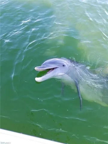 They are out there DAILY! WHAT AN ENCOUNTER!!