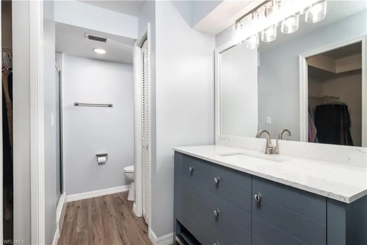 Full bathroom featuring a spacious closet, vanity, wood finished floors, and a stall shower