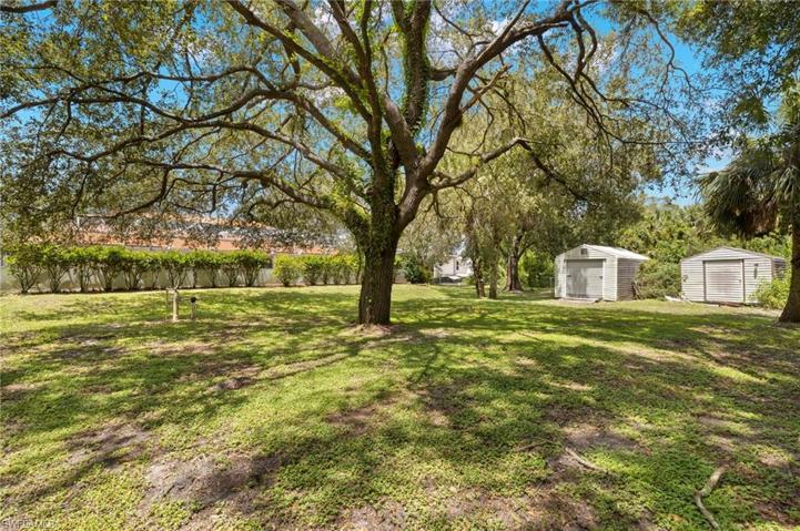 Fenced Back Yard and two free Standing Sheds