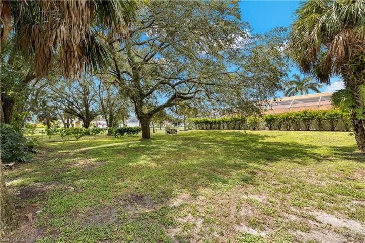 Fenced Back Yard
