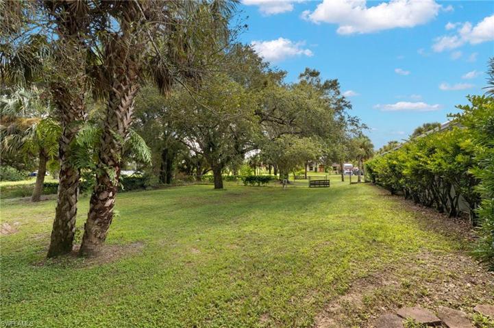 Fenced Back Yard