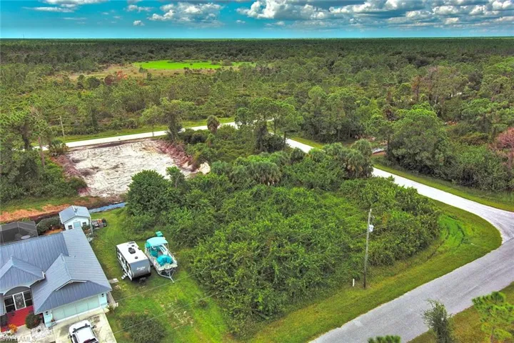 Aerial view of a forest