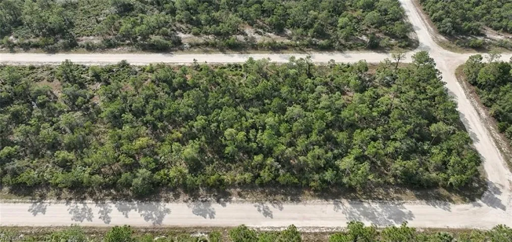 Wooded lot with mature trees, bordered by unpaved roads