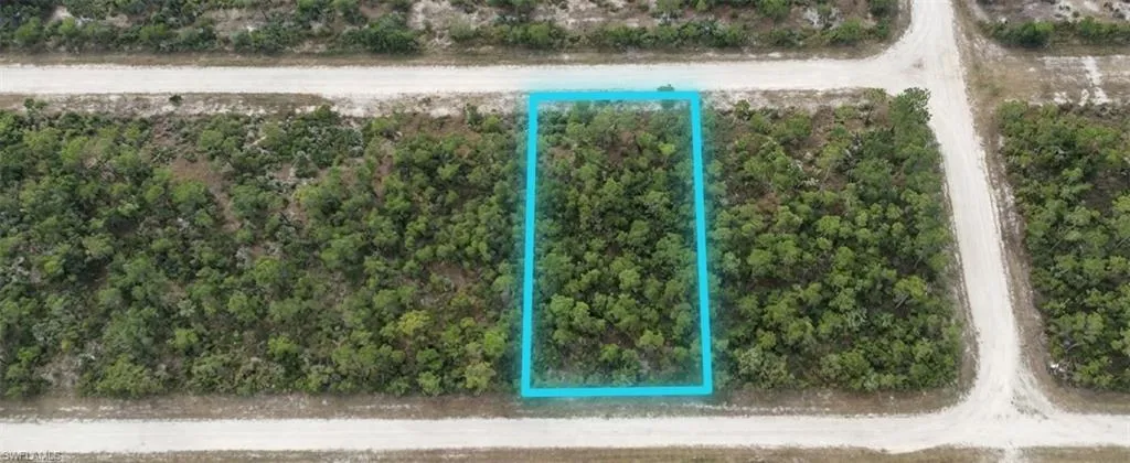 Rectangular parcel of undeveloped land with dense tree coverage
