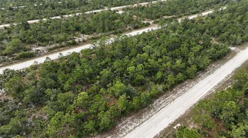 Expansive undeveloped land parcel featuring dense natural foliage