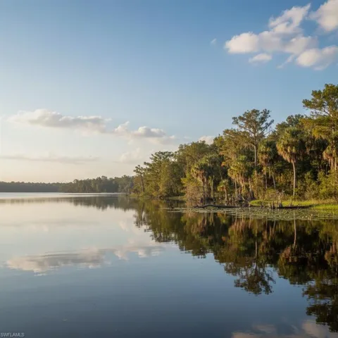 Expansive body of water bordered by dense tree lines featuring cypress and palm trees