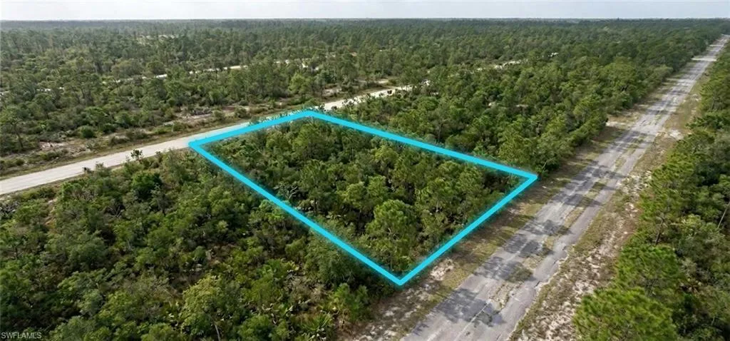 Expansive undeveloped land parcel featuring mature trees and direct road frontage
