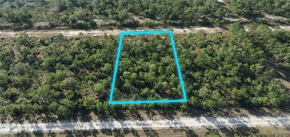 Wooded parcel outlined in blue, featuring mature trees and bordering two unpaved roads