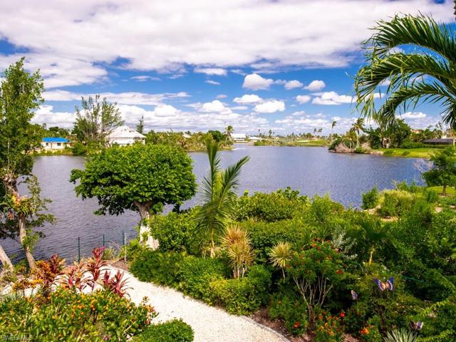 Lake Views