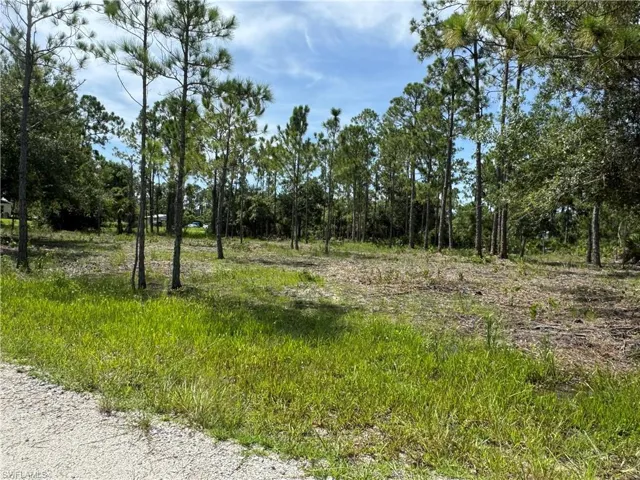 View of cleared lot