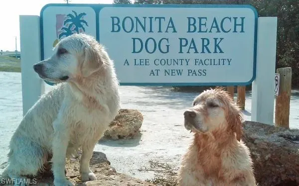 Dog friendly beaches nearby!