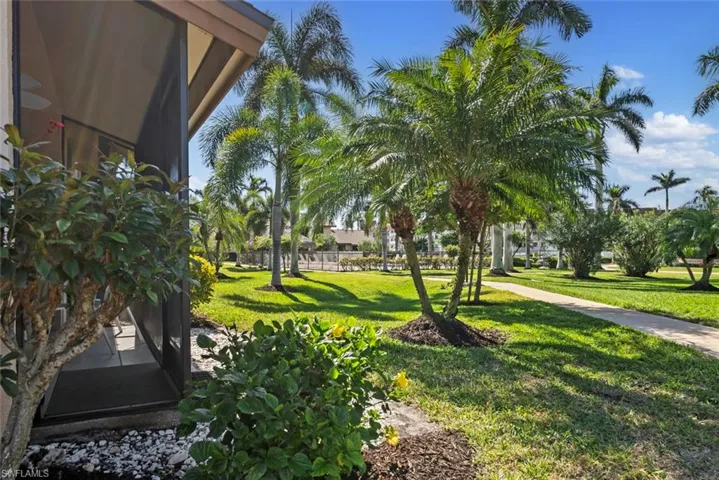 View of beautiful Royal Palms