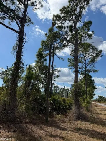 1116 Plantation Rd, Lehigh Acres, Florida 33974
