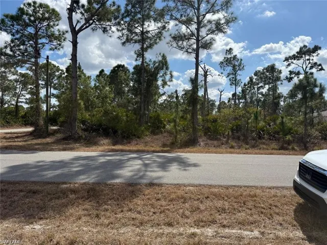 Road frontage with mature trees and natural vegetation